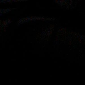 Meet your Posher, Derek